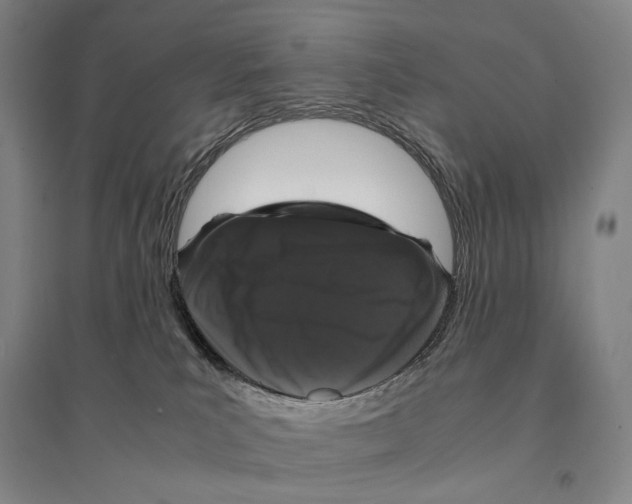 X0000095520039200801111446