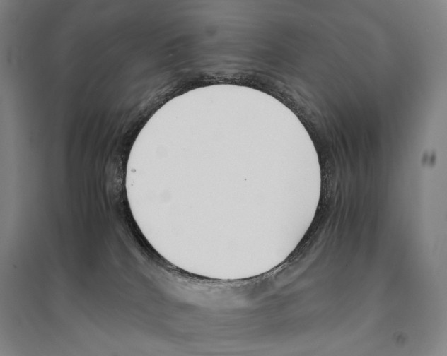 X0000095520040200801111446