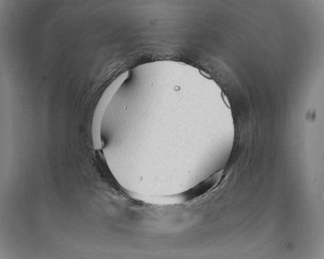 X0000095520041200801111446