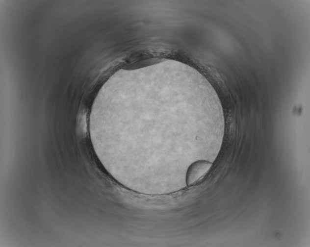 X0000095520042200801111446