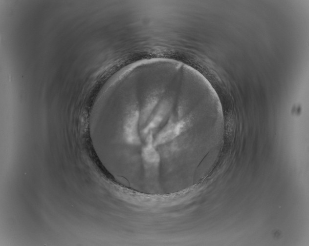 X0000095520043200801111446