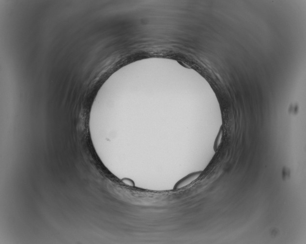 X0000095520044200801111446
