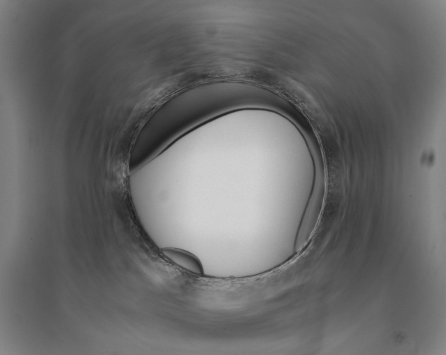 X0000095520045200801111446