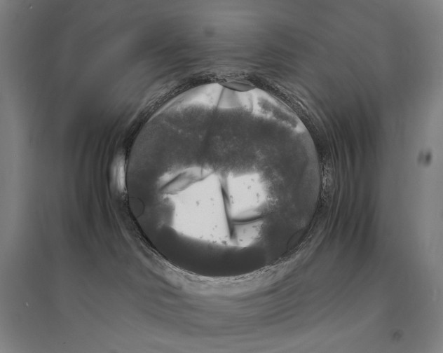 X0000095520046200801111446