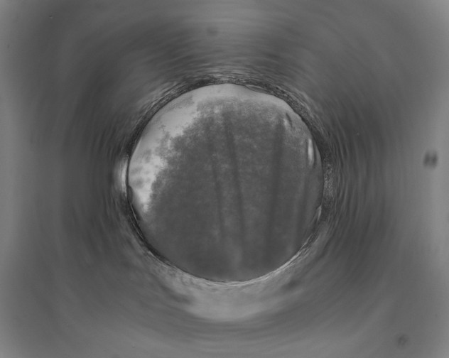 X0000095520047200801111446