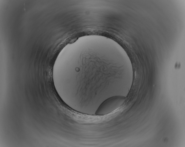 X0000095520048200801111446