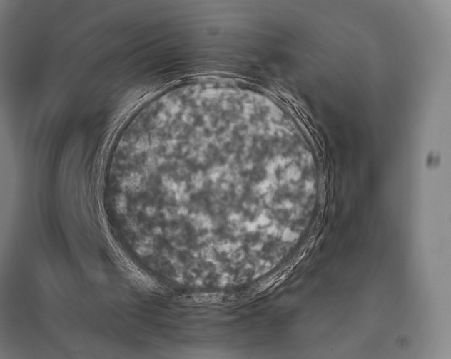 X0000095520049200801111445