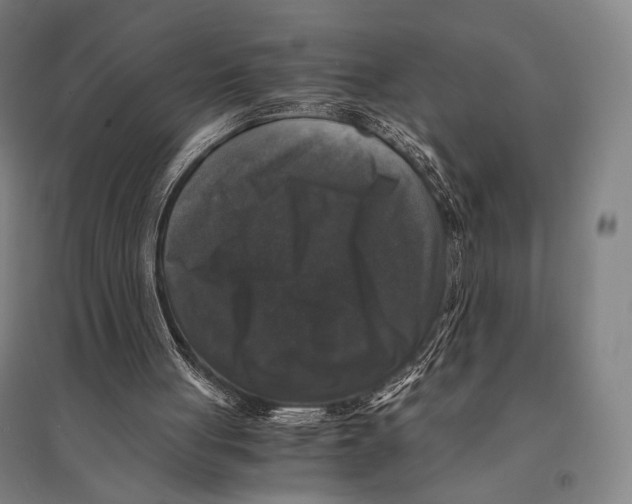 X0000095520051200801111445