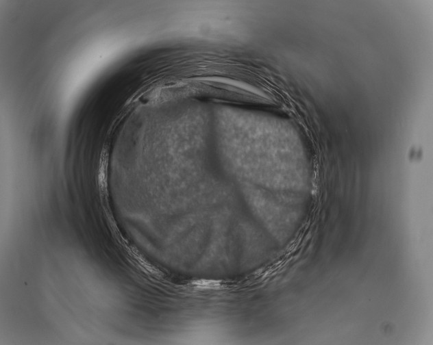 X0000095520052200801111446
