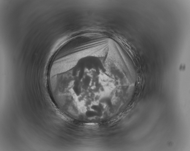 X0000095520053200801111446