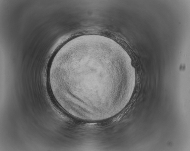 X0000095520054200801111446