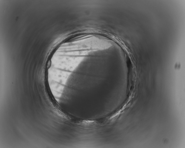 X0000095520055200801111446
