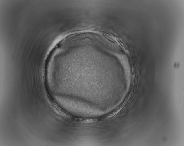 X0000095520056200801111446
