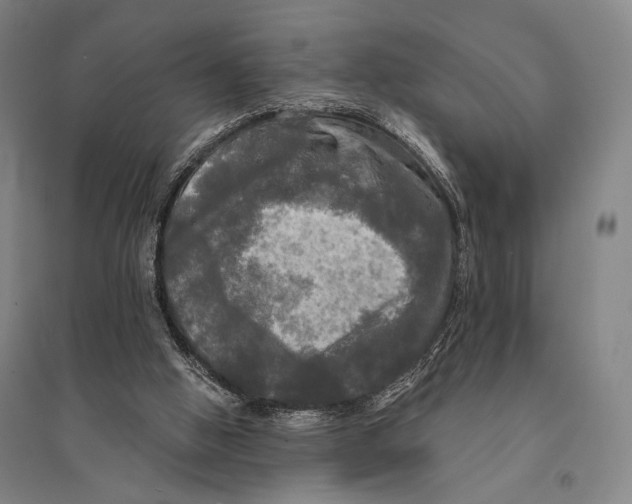 X0000095520058200801111446