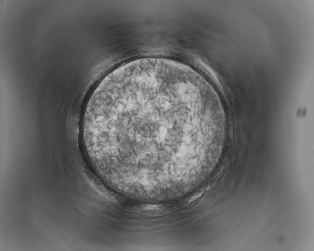 X0000095520059200801111446