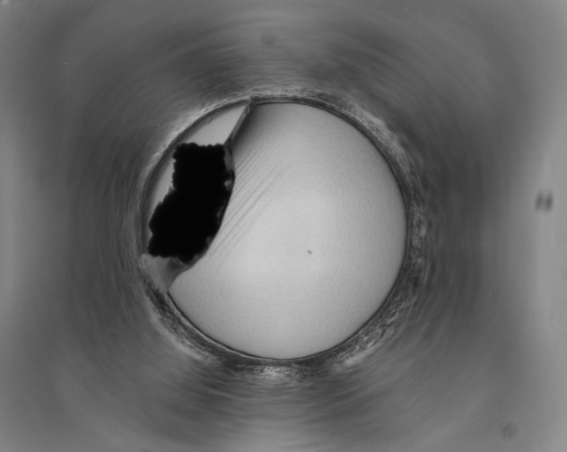 X0000095520060200801111446