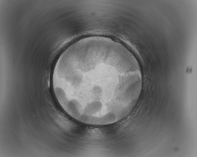 X0000095520062200801111446