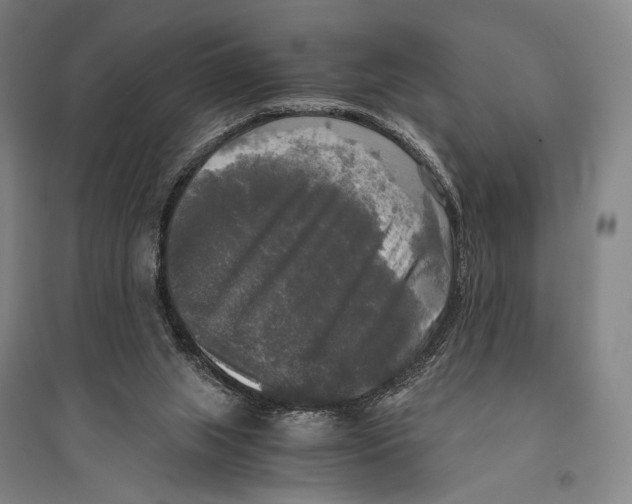 X0000095520063200801111446