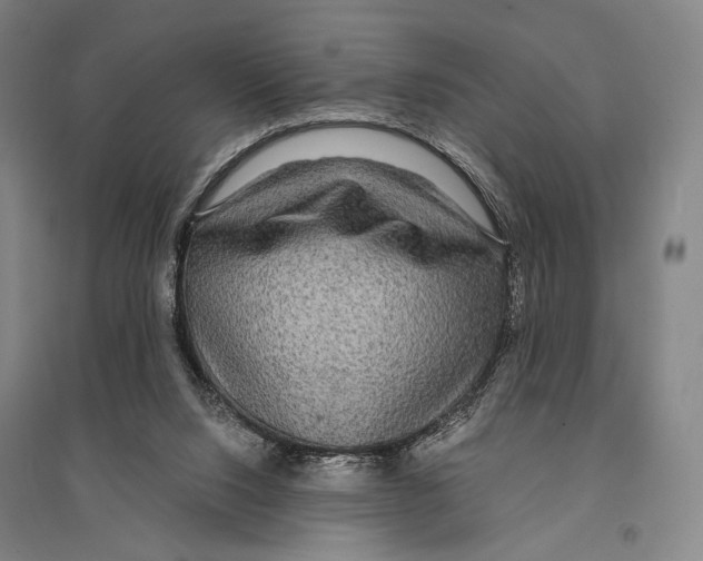 X0000095520064200801111446