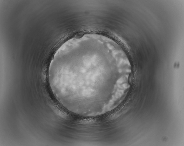 X0000095520065200801111446