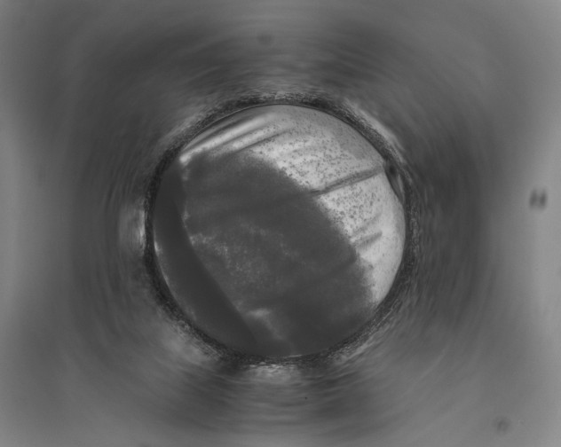 X0000095520067200801111446