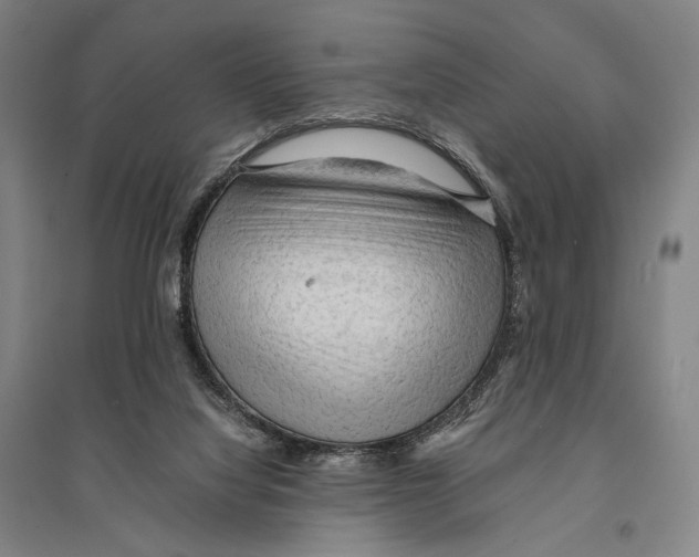 X0000095520068200801111446