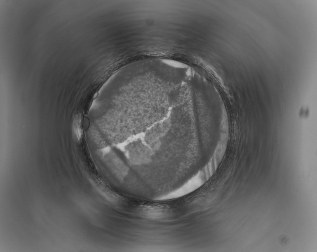 X0000095520069200801111446