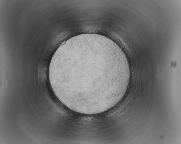 X0000095520071200801111446