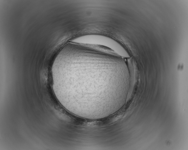 X0000095520072200801111446