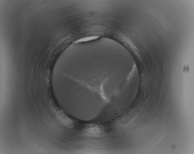 X0000095520073200801111446