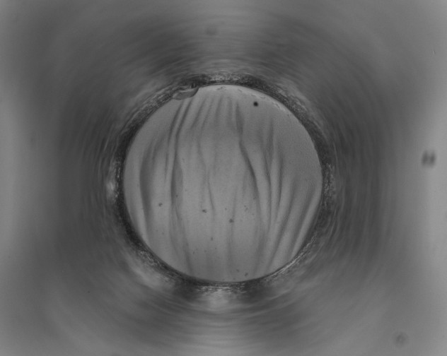X0000095520074200801111446