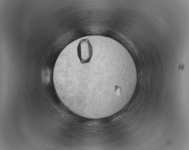 X0000095520075200801111446