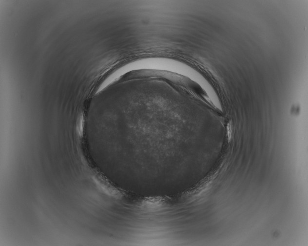 X0000095520076200801111446