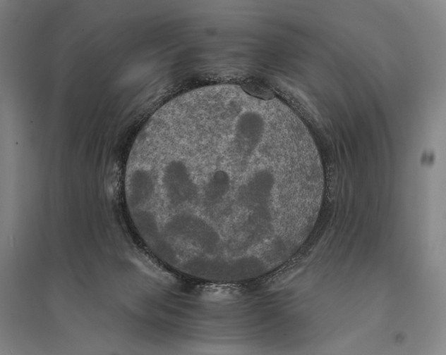X0000095520077200801111446