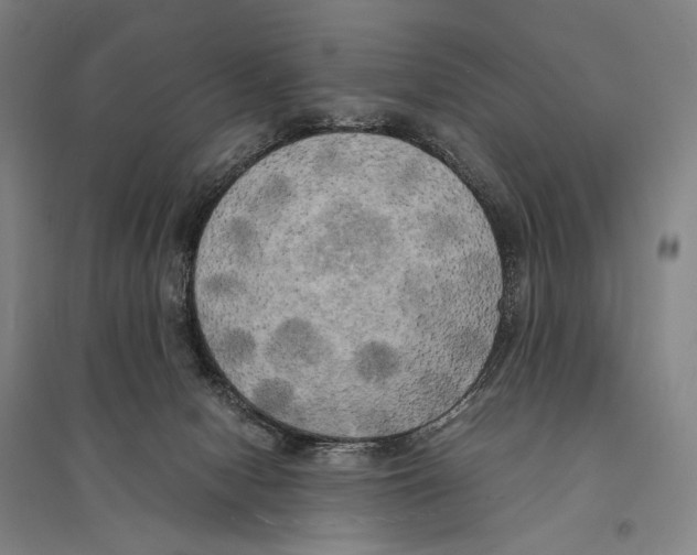 X0000095520078200801111446