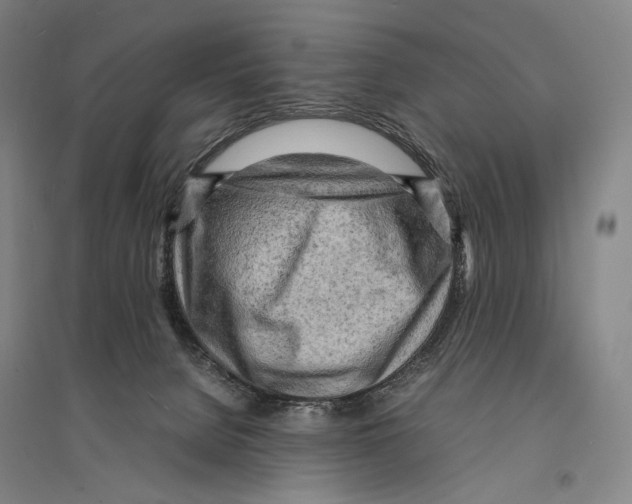 X0000095520080200801111446