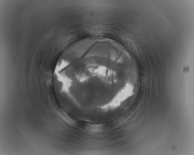 X0000095520081200801111446