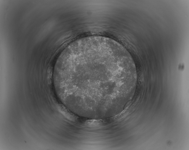 X0000095520082200801111446