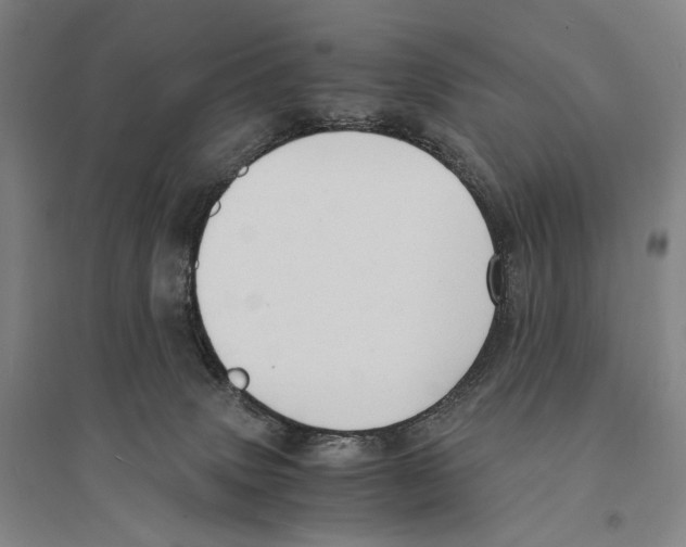 X0000095520083200801111446