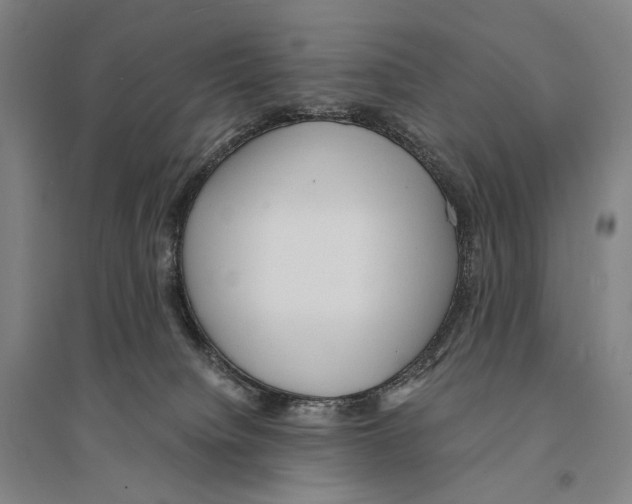 X0000095520084200801111446