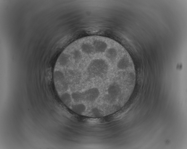 X0000095520085200801111446