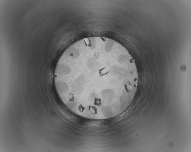 X0000095520086200801111446