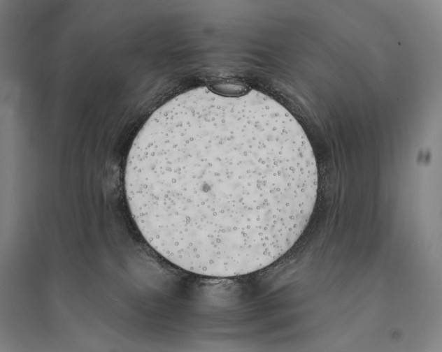X0000095520087200801111446