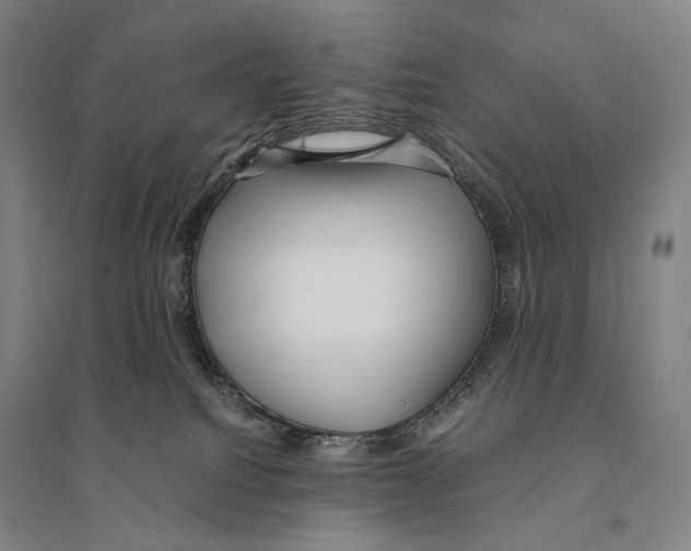X0000095520088200801111446