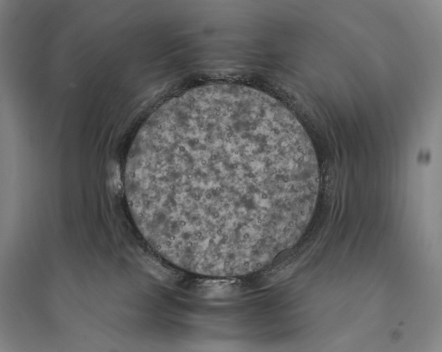 X0000095520089200801111446