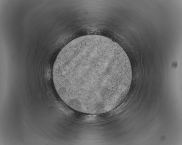 X0000095520090200801111446