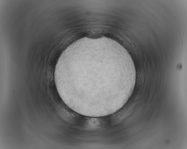 X0000095520091200801111446