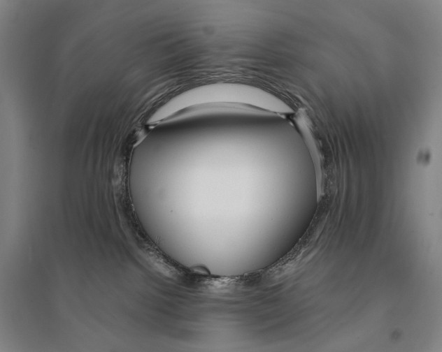 X0000095520092200801111446