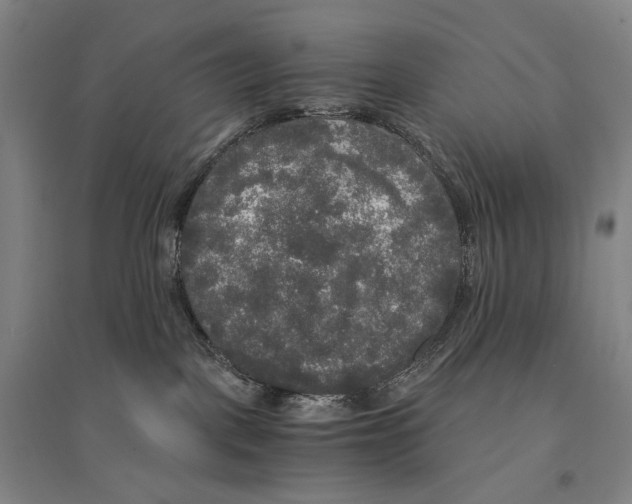X0000095520093200801111446
