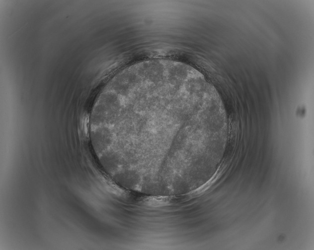 X0000095520094200801111446